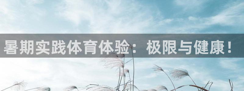 球速体育