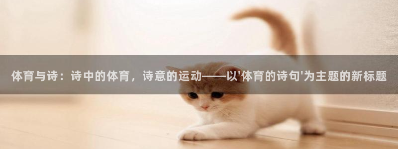 球速体育
