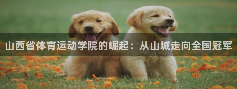 球速体育