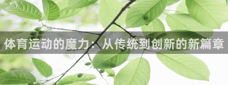 球速体育