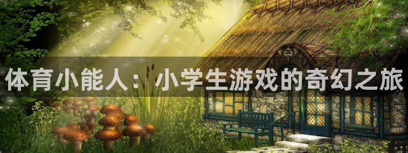 球速体育
