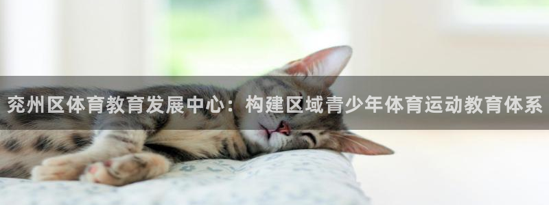 球速体育：兖州区体育教育发展中心：构建区域青少年体育运动教育体系