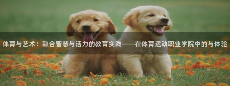 球速体育