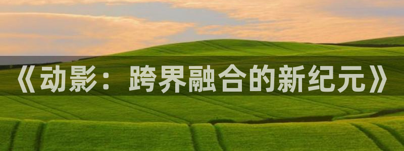 球速体育