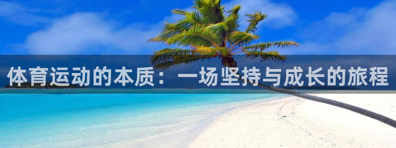 球速体育：体育运动的本质：一场坚持与成长的旅程