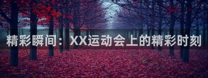 球速体育：精彩瞬间：XX运动会上的精彩时刻