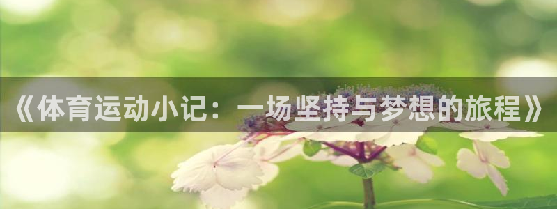 球速体育：《体育运动小记：一场坚持与梦想的旅程》