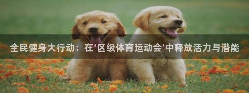 球速体育：全民健身大行动：在‘区级体育运动会’中释放活力与潜能