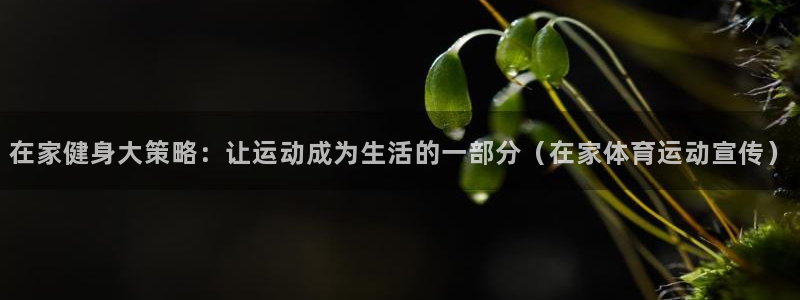 球速体育：在家健身大策略：让运动成为生活的一部分（在家体育运动宣传）